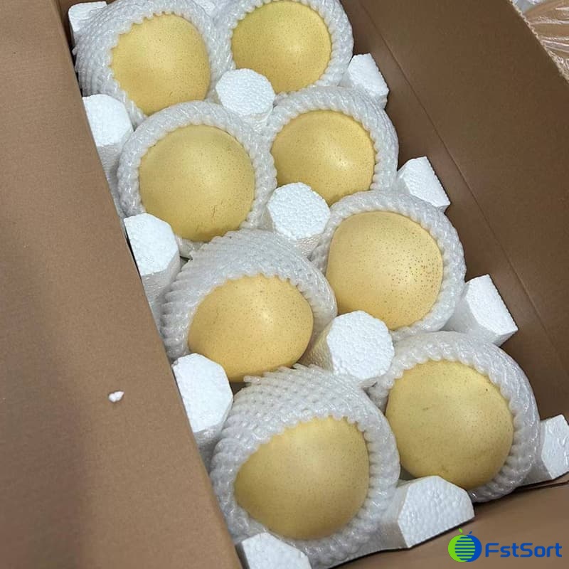 images/1697530565713pear machine.jpg